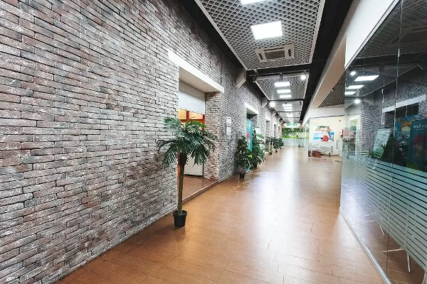 Декоративный кирпич Zikkurat Старый кирпич 1-27-04  24,2*5,7