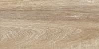 Керамическая плитка настенная Alma Ceramica рельефная Эйфория / Euphoria 249*500, TWU2550EPH40