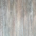 Oak Bonn