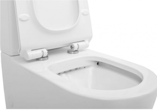 Чаша напольного унитаза Aquanet Rimless Atago-C1 BL-104N-TPT