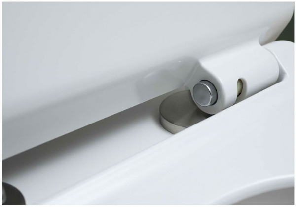 Чаша напольного унитаза Aquanet Rimless Roll-C CL-12249B